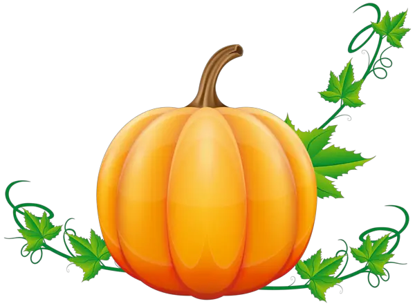 Pumpkin PNG