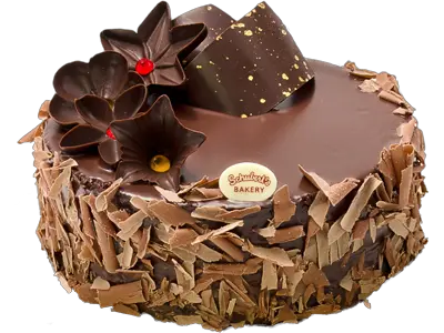 Cake PNG image