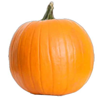 Pumpkin PNG