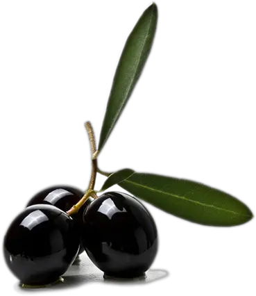 Olive PNG