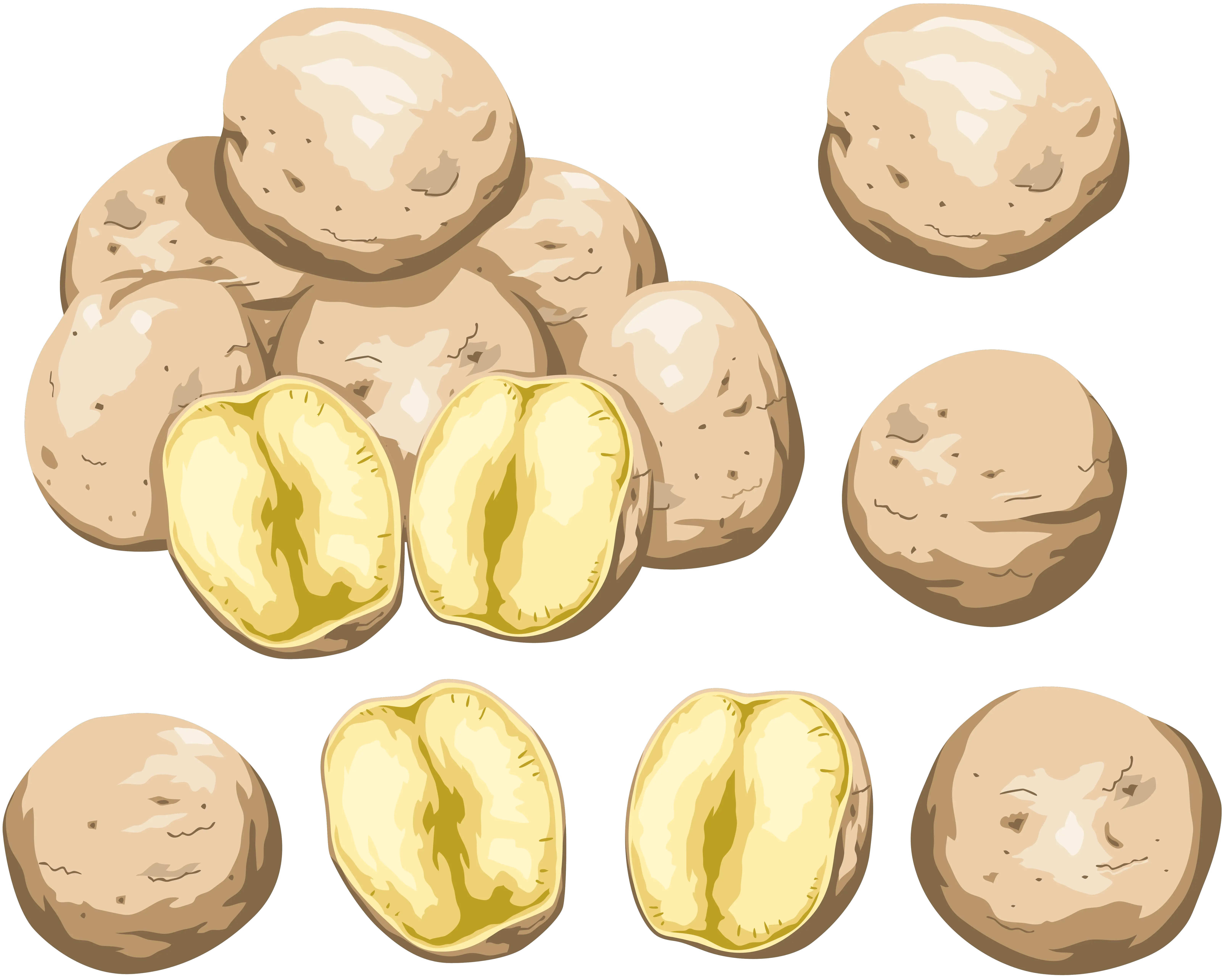 Cutted potatoes PNG