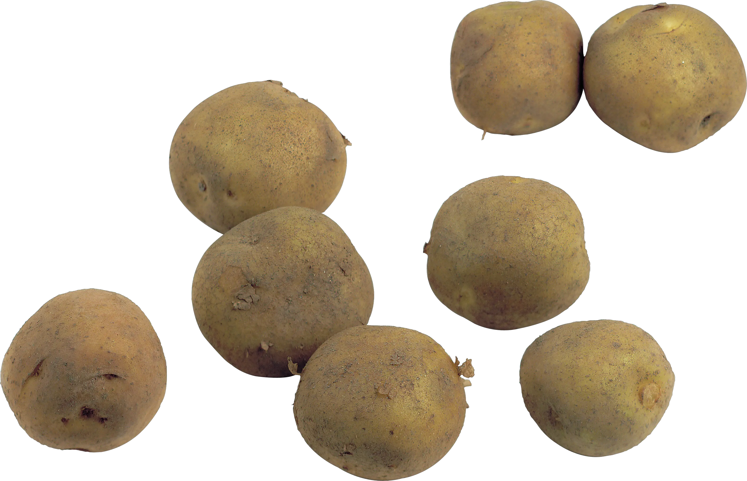 Potato png images