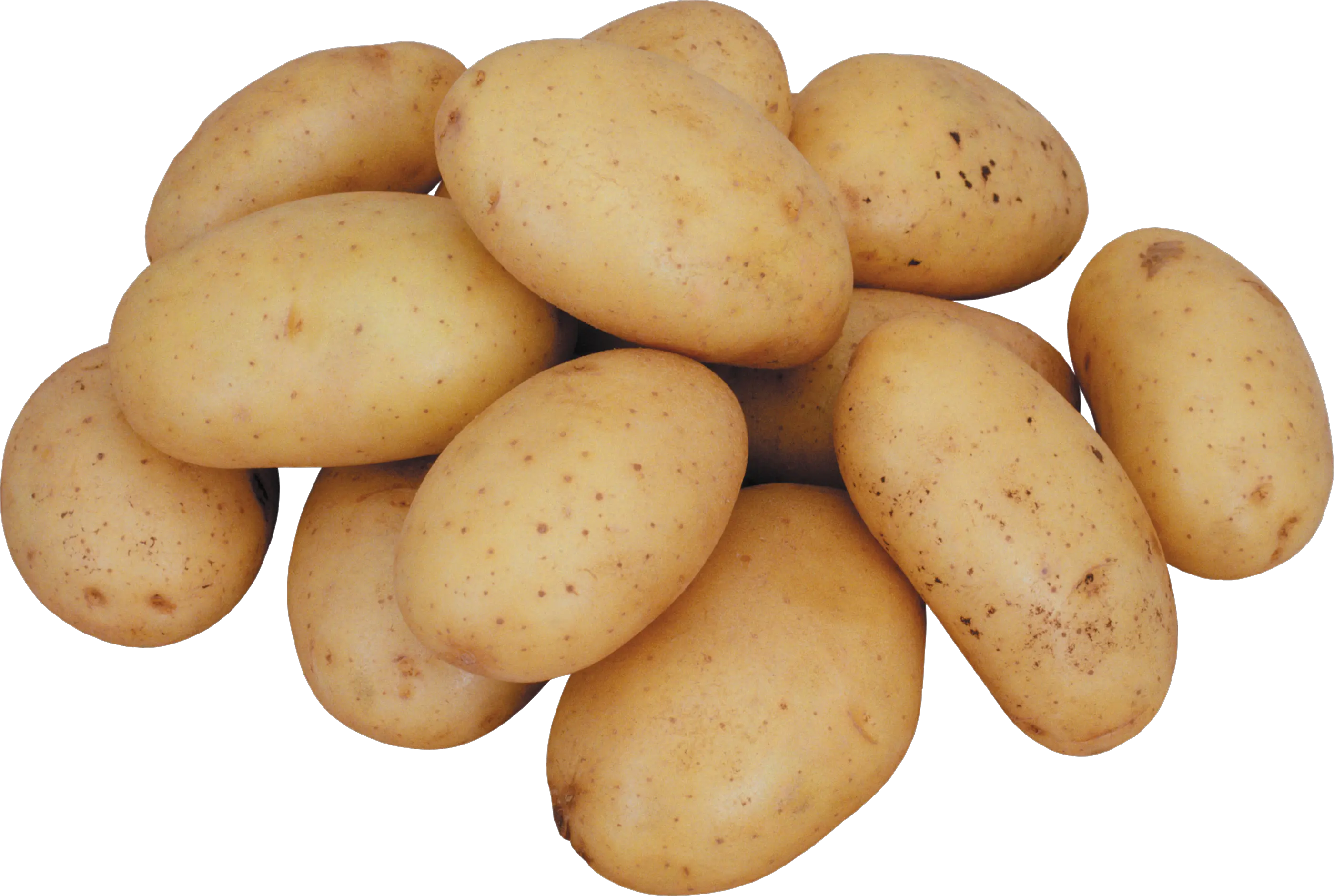 Potato png images pictures free download