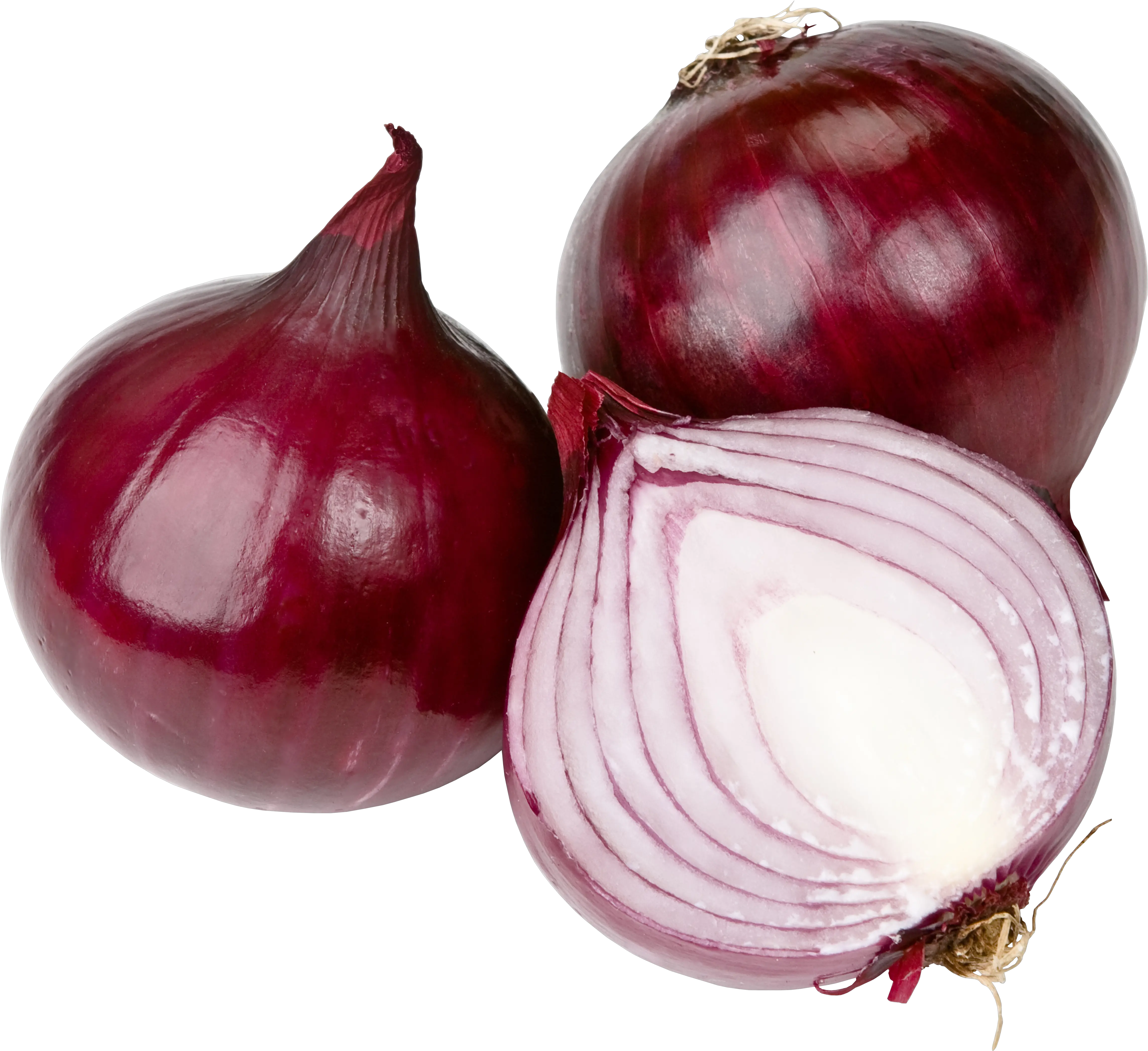 Onion PNG