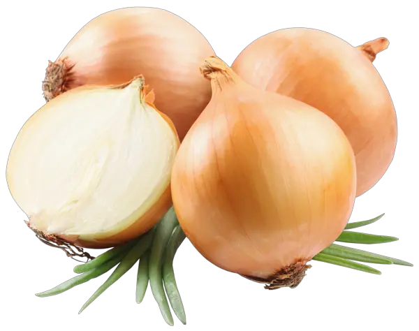 Onion PNG