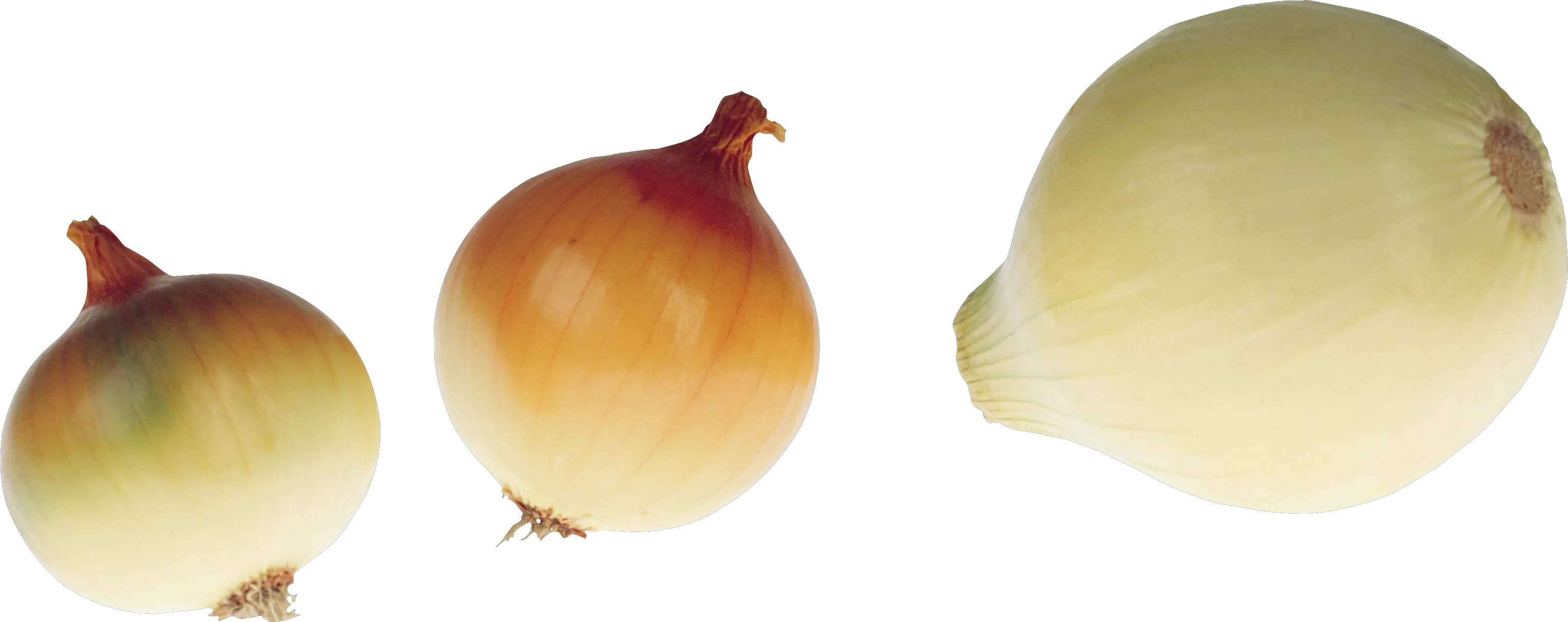 Onion PNG