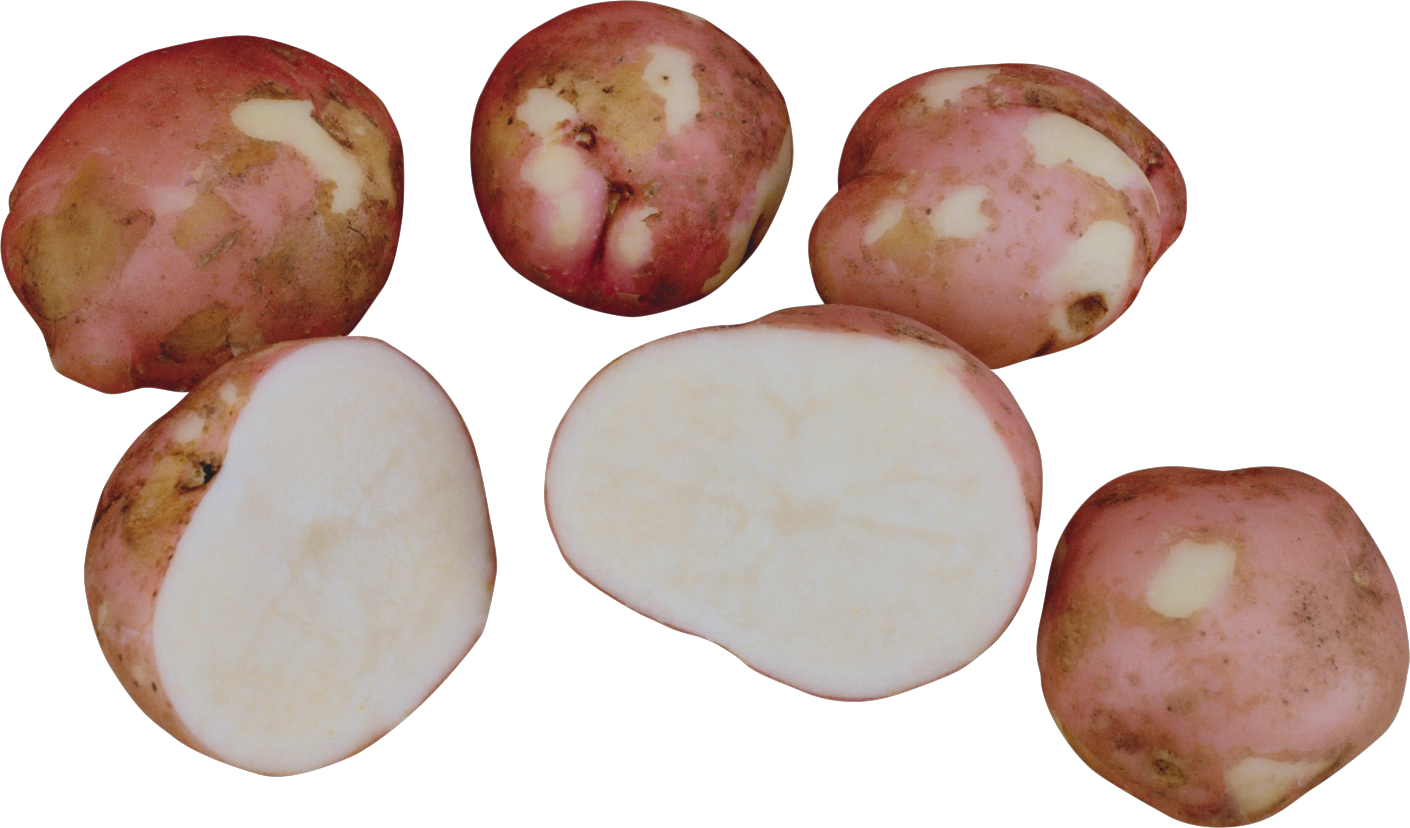 Cutted potatoes PNG