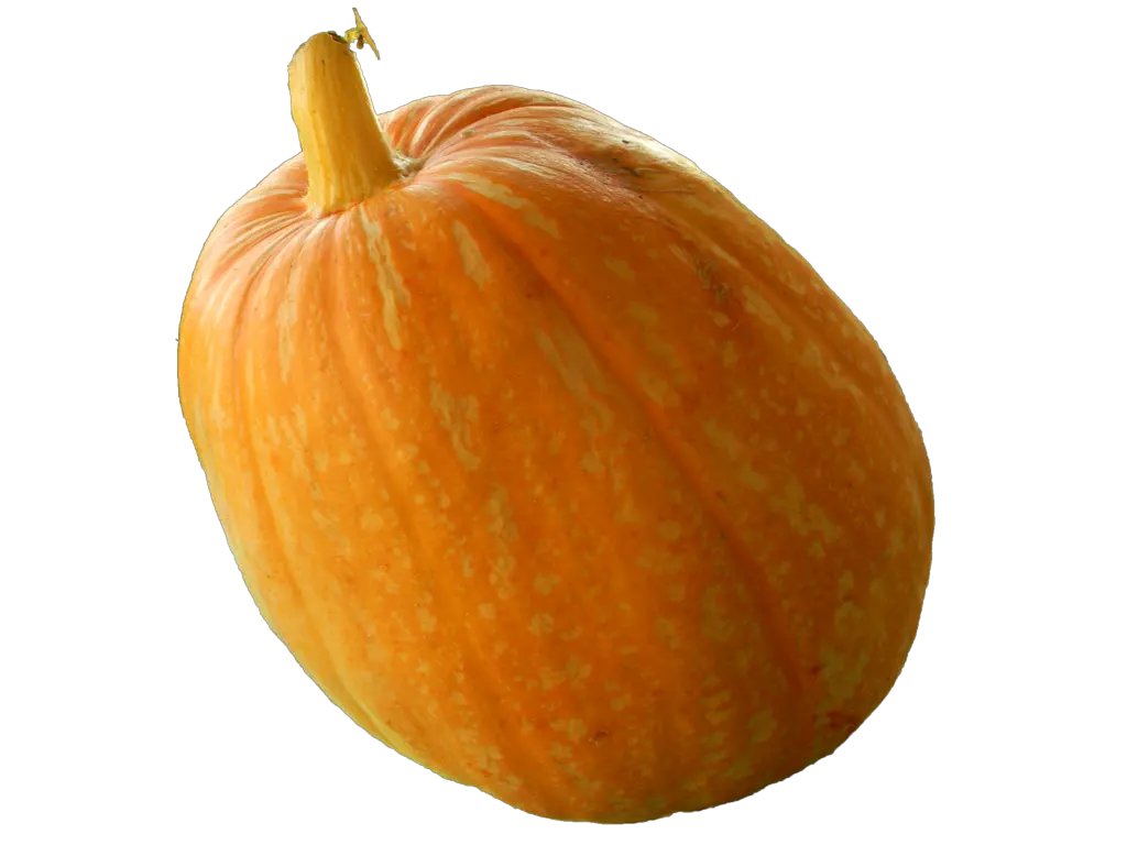 Pumpkin PNG