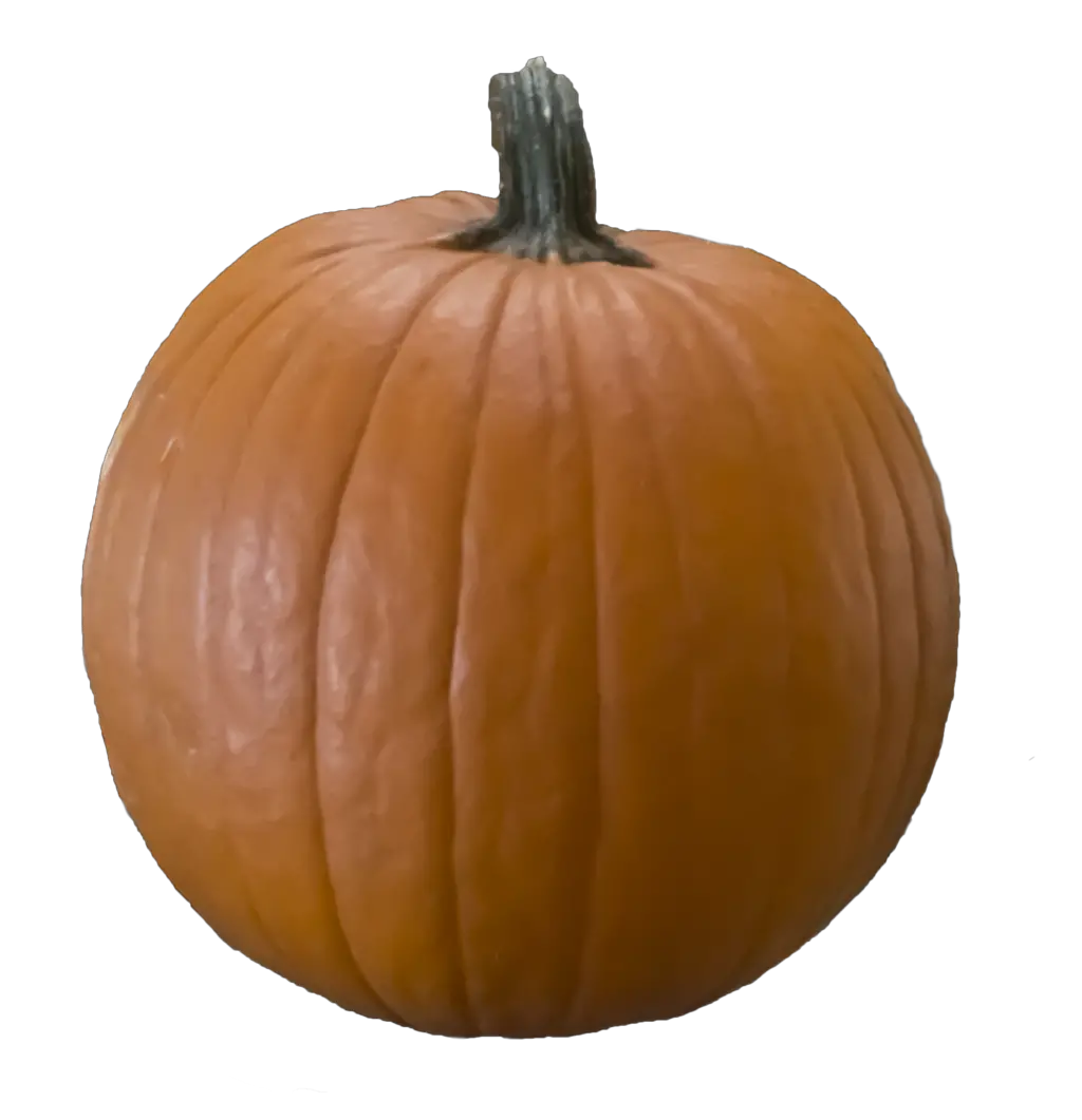 Pumpkin PNG