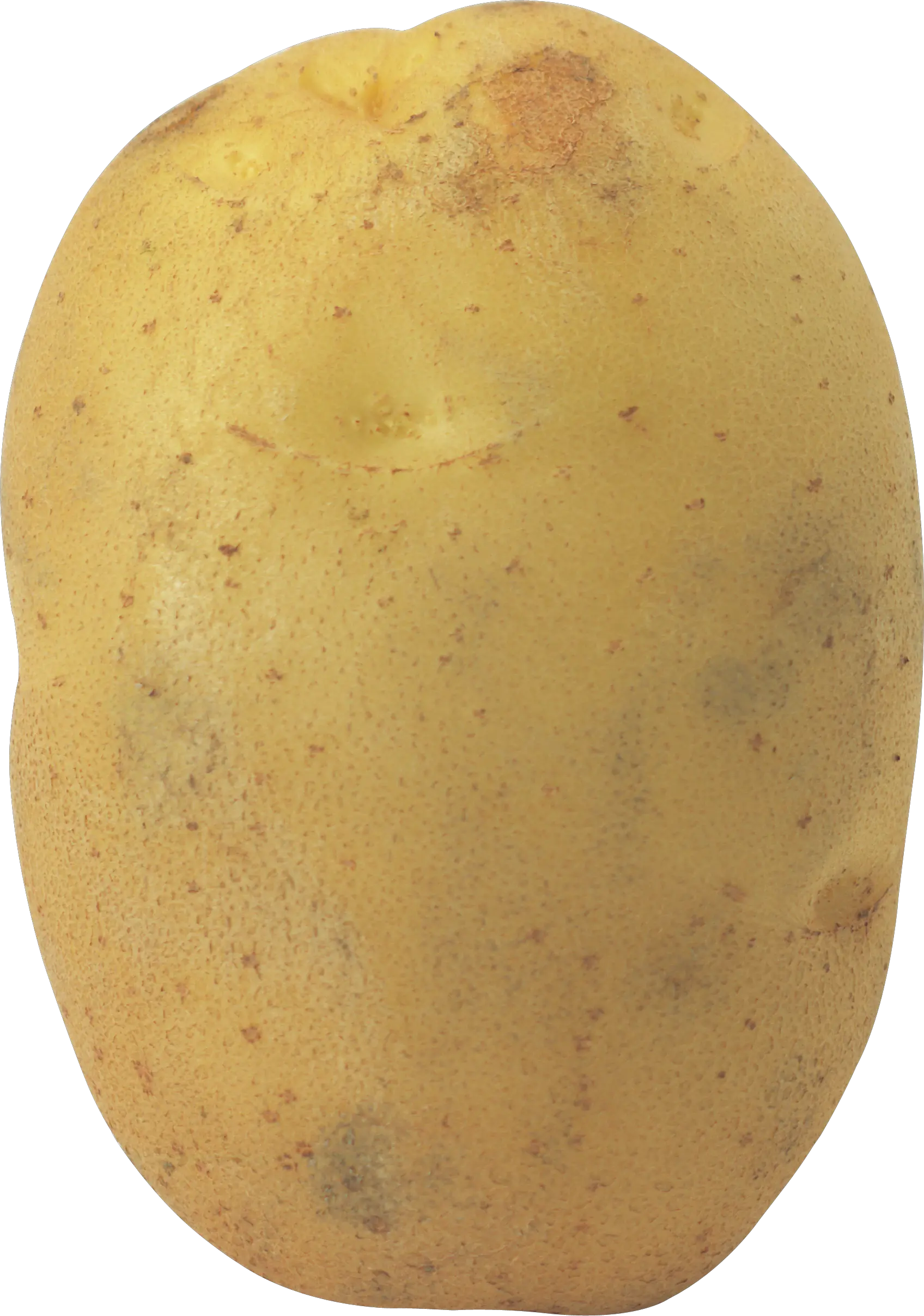 Large potato PNG image