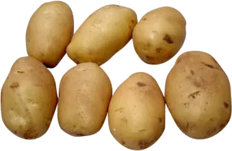 Potato png images pictures free download