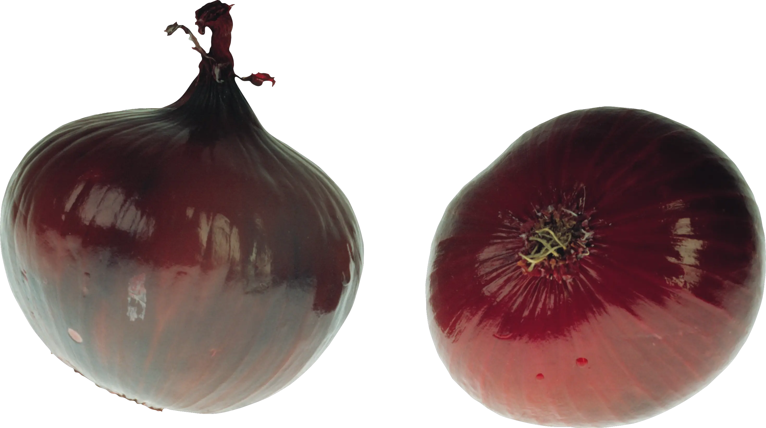 Onion PNG image