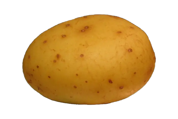 Potato PNG image