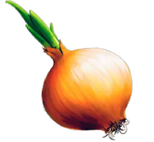 Onion PNG image free download picture