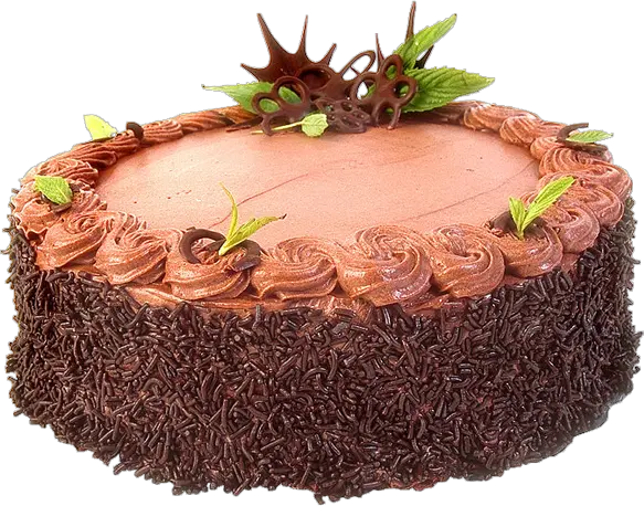 Cake PNG image