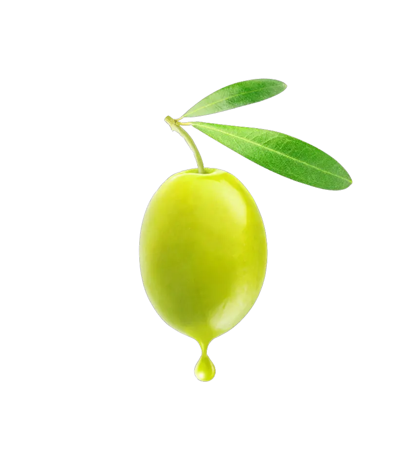 Olive PNG