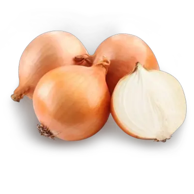 Onion PNG image free download picture
