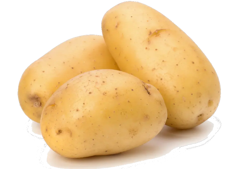 Potato png images pictures free download