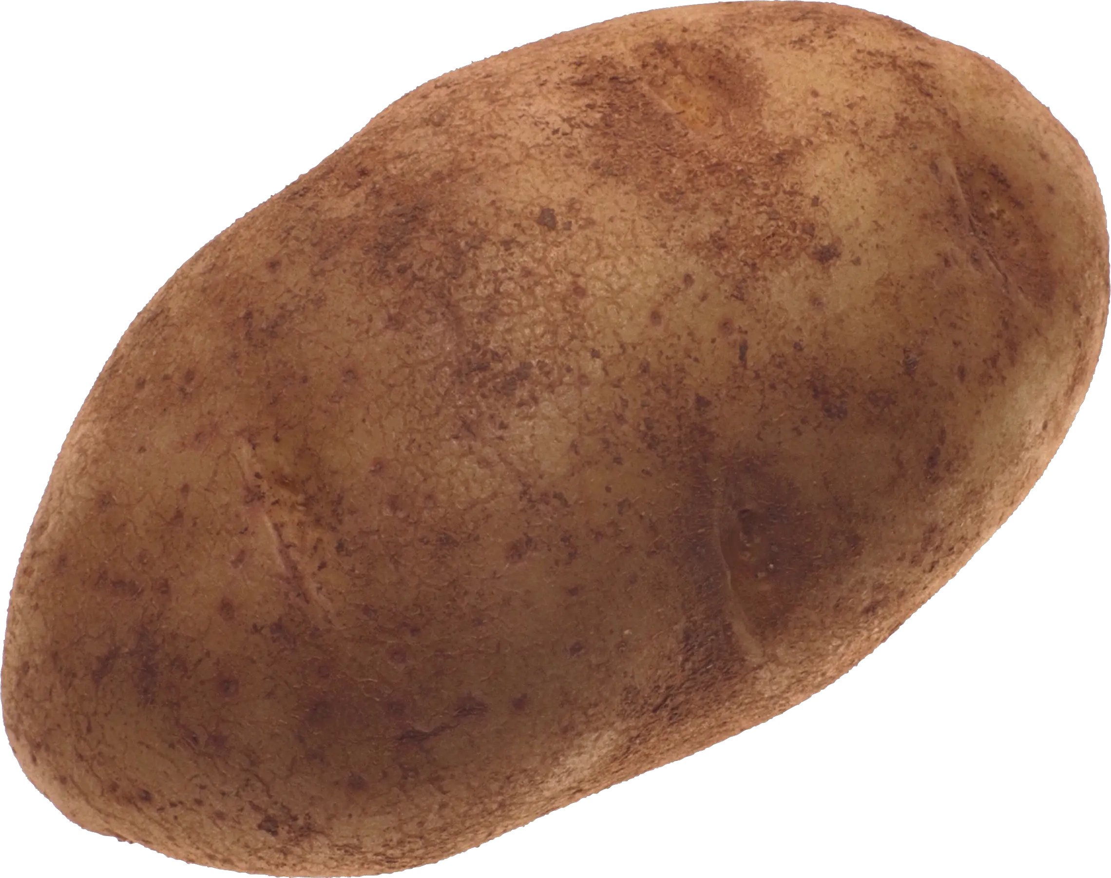 Potato PNG image without background