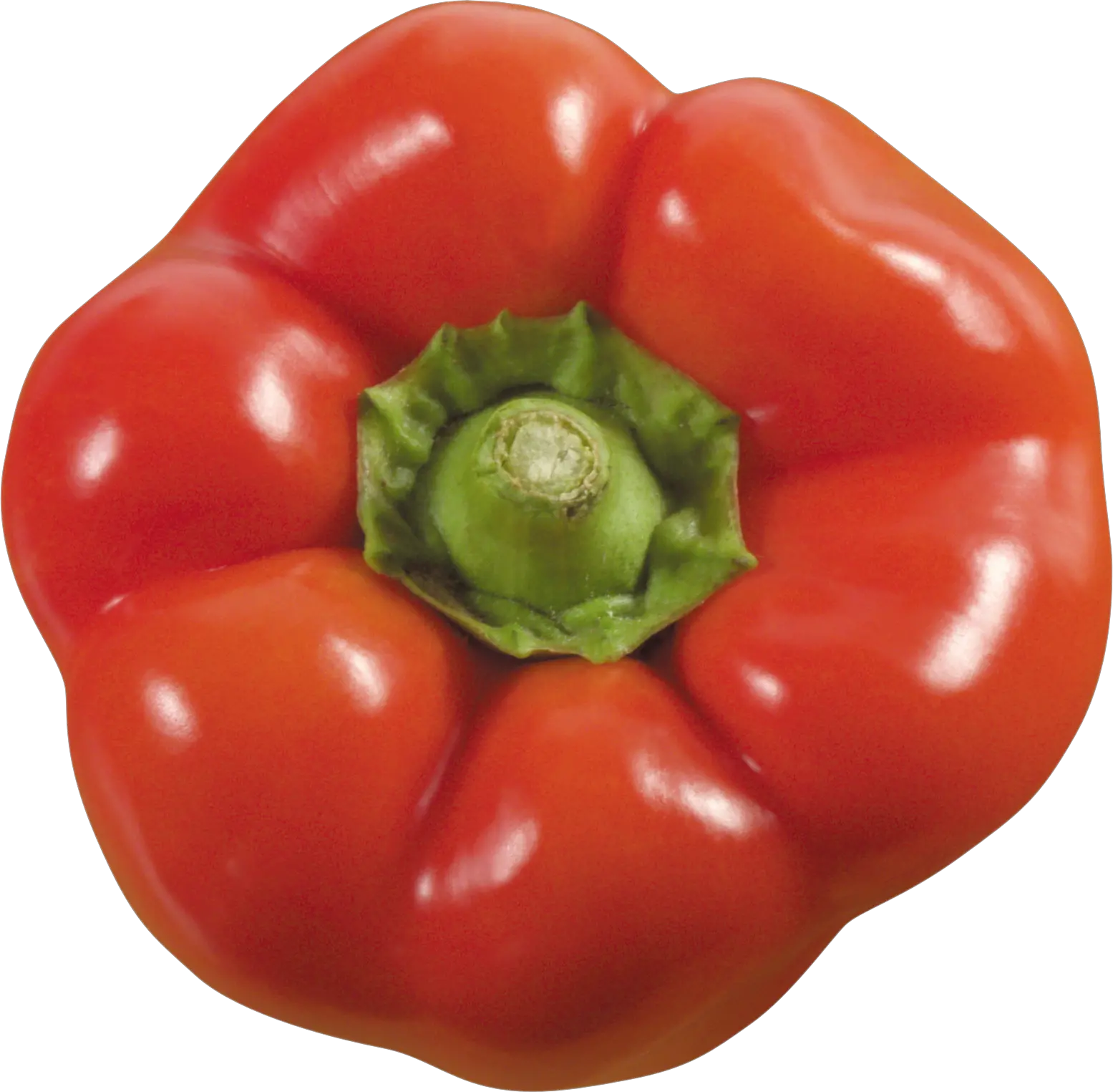 Bell pepper PNG