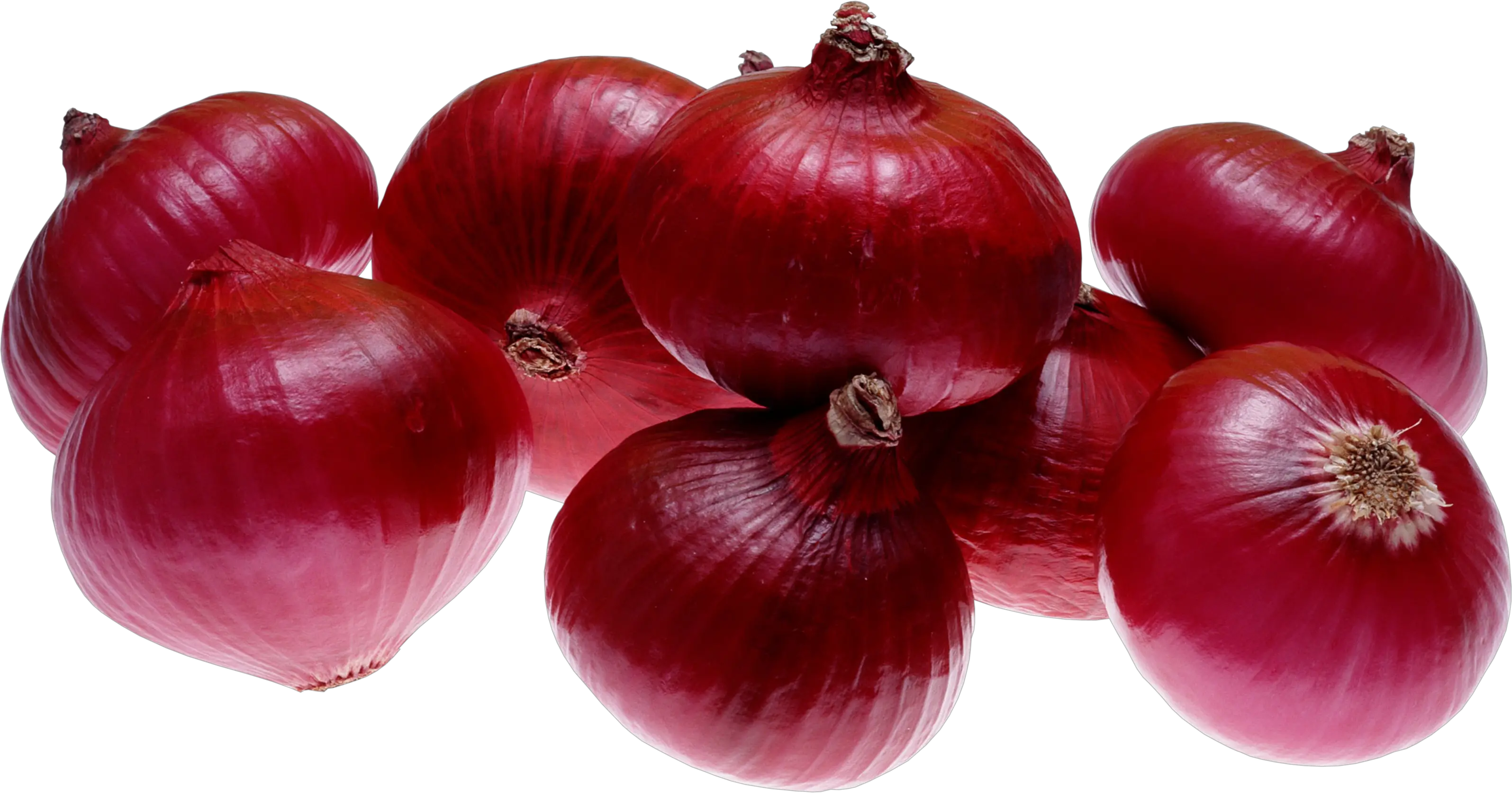 Red onion PNG image