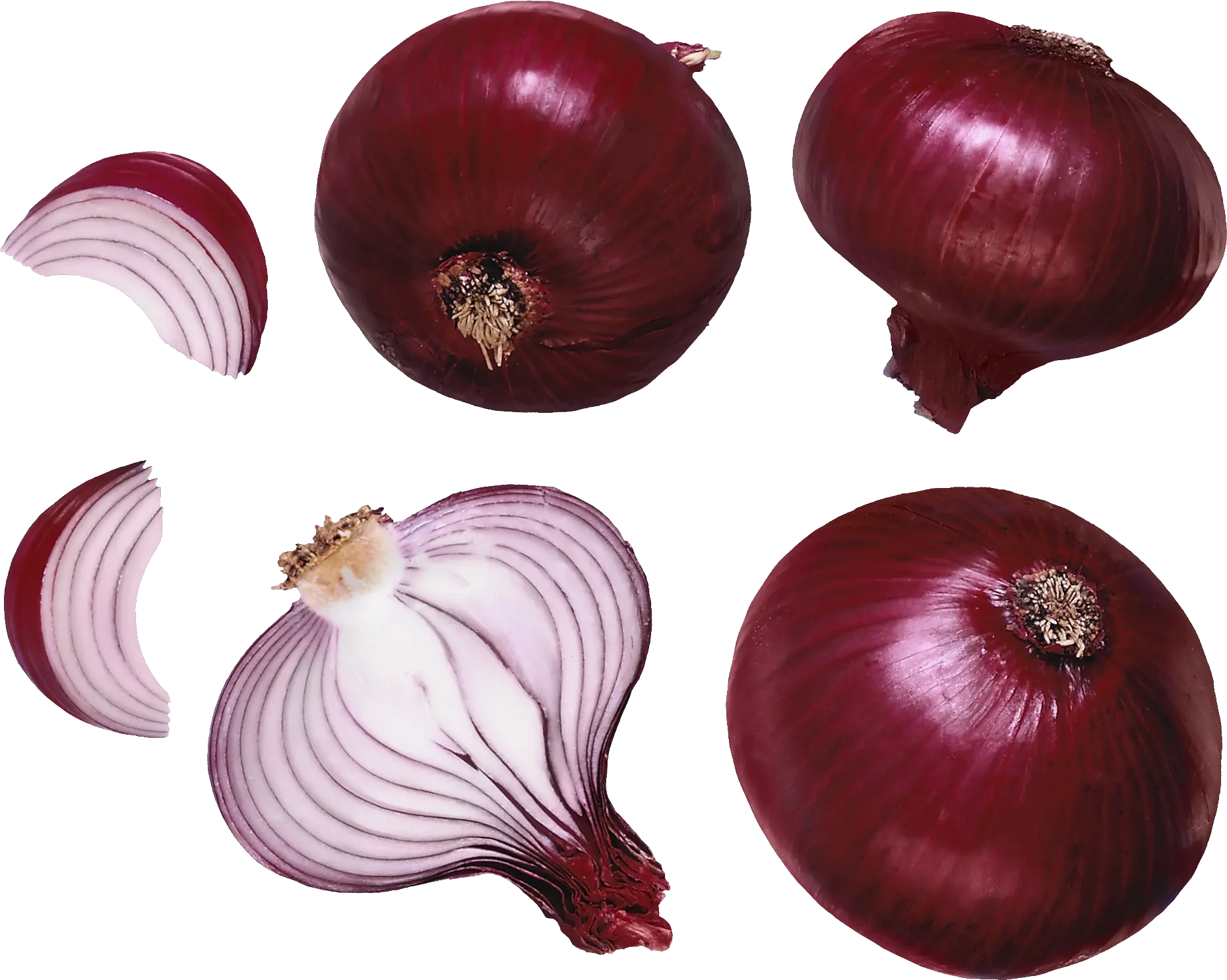 Onion PNG
