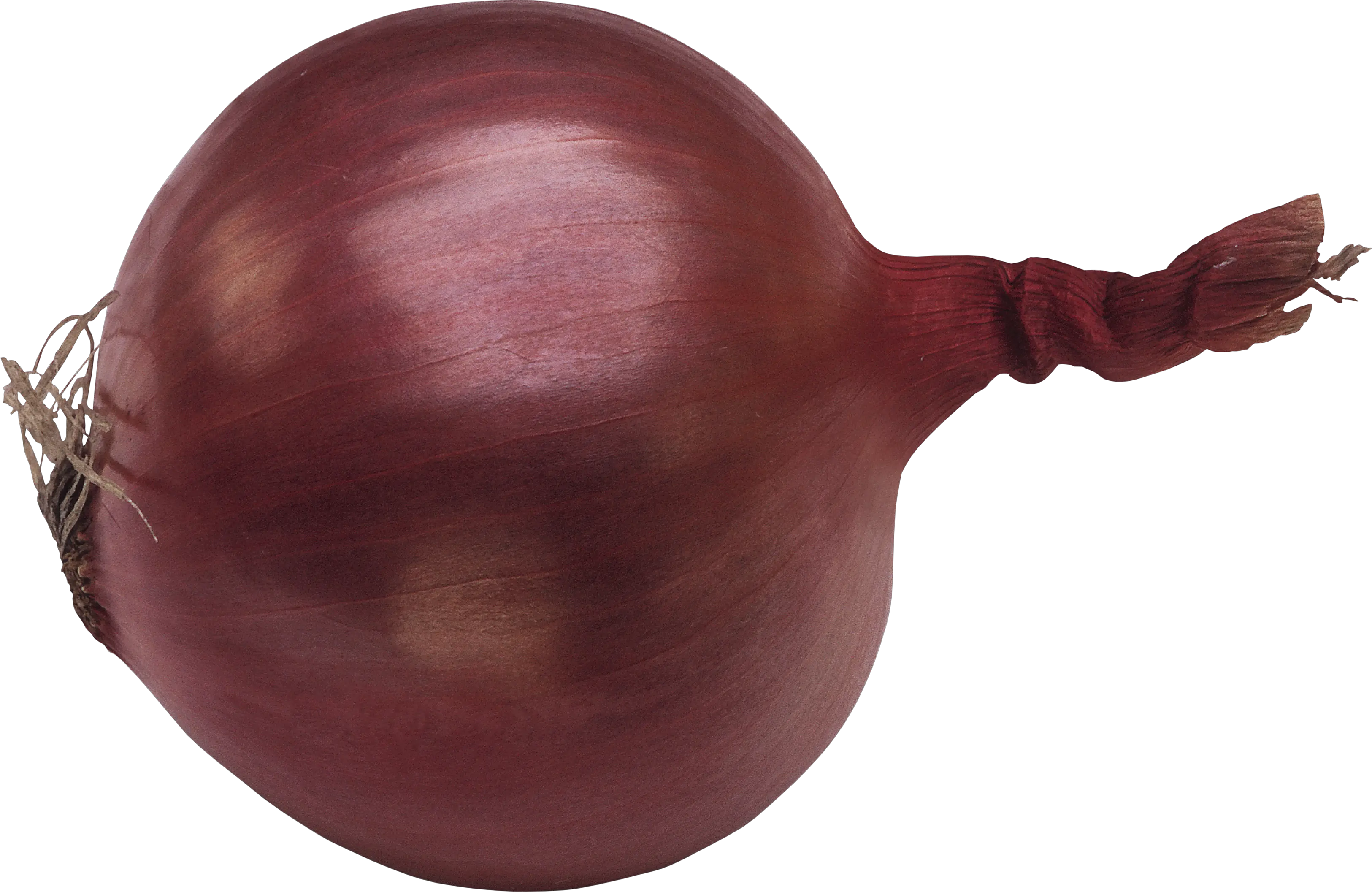 Onion PNG image