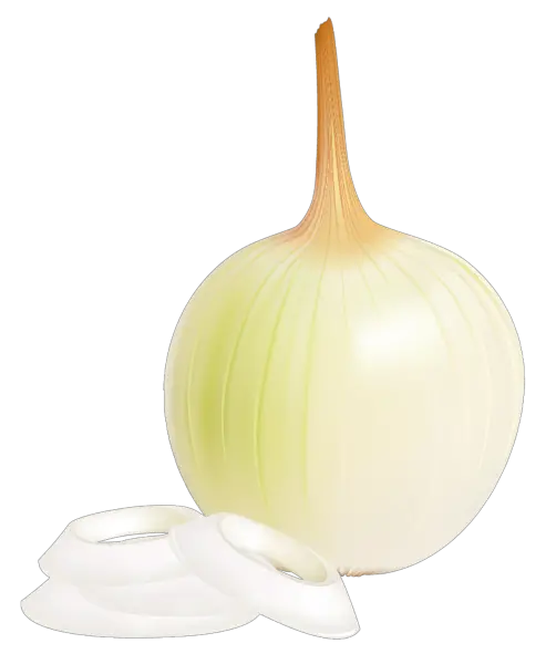 Onion PNG