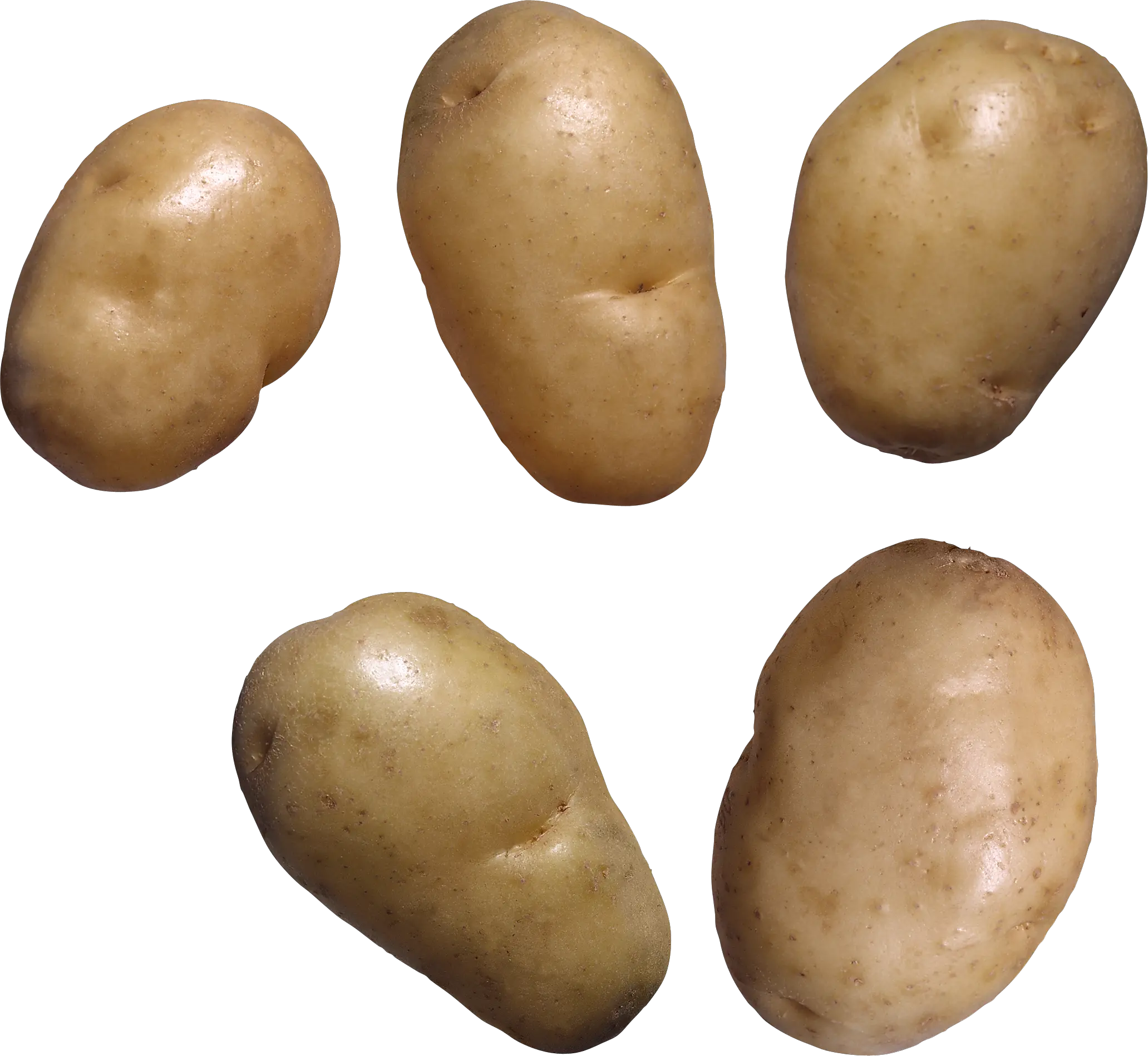 Potato png images pictures free download