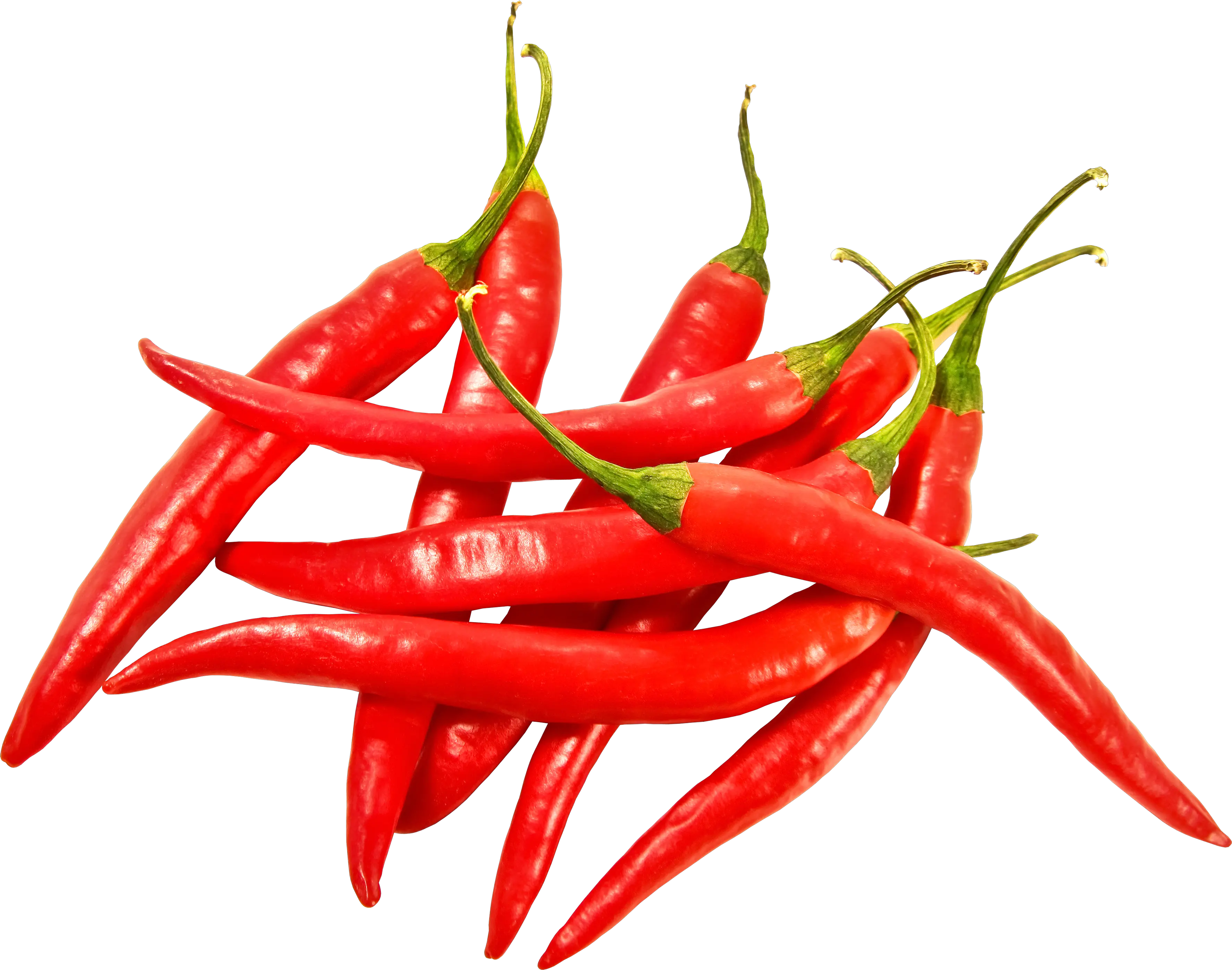 Red chili pepper PNG image