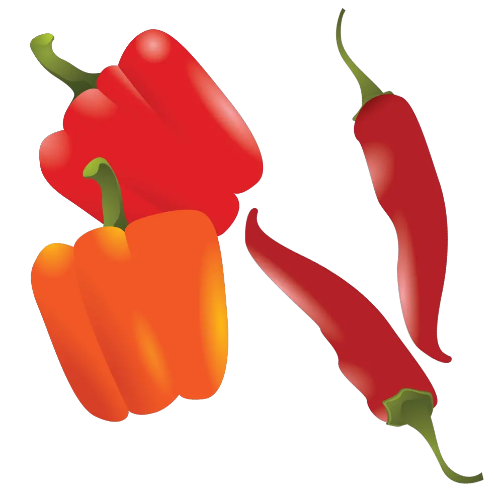 Bell pepper PNG