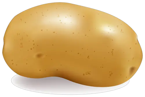 Potato PNG image pictures free download