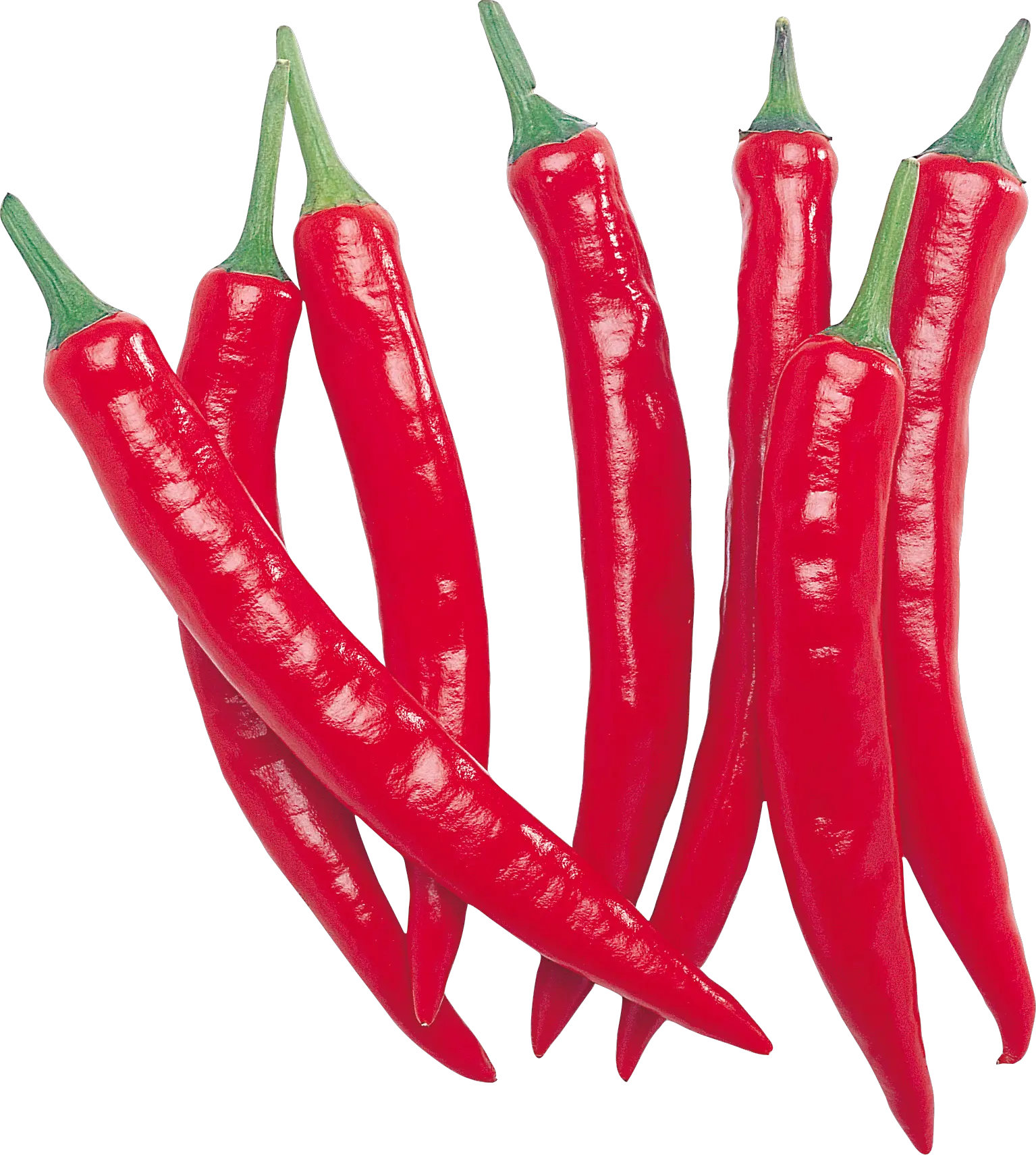 Red chili pepper PNG image