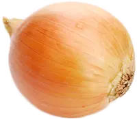Onion PNG image free download picture