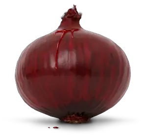 Onion PNG image free download picture
