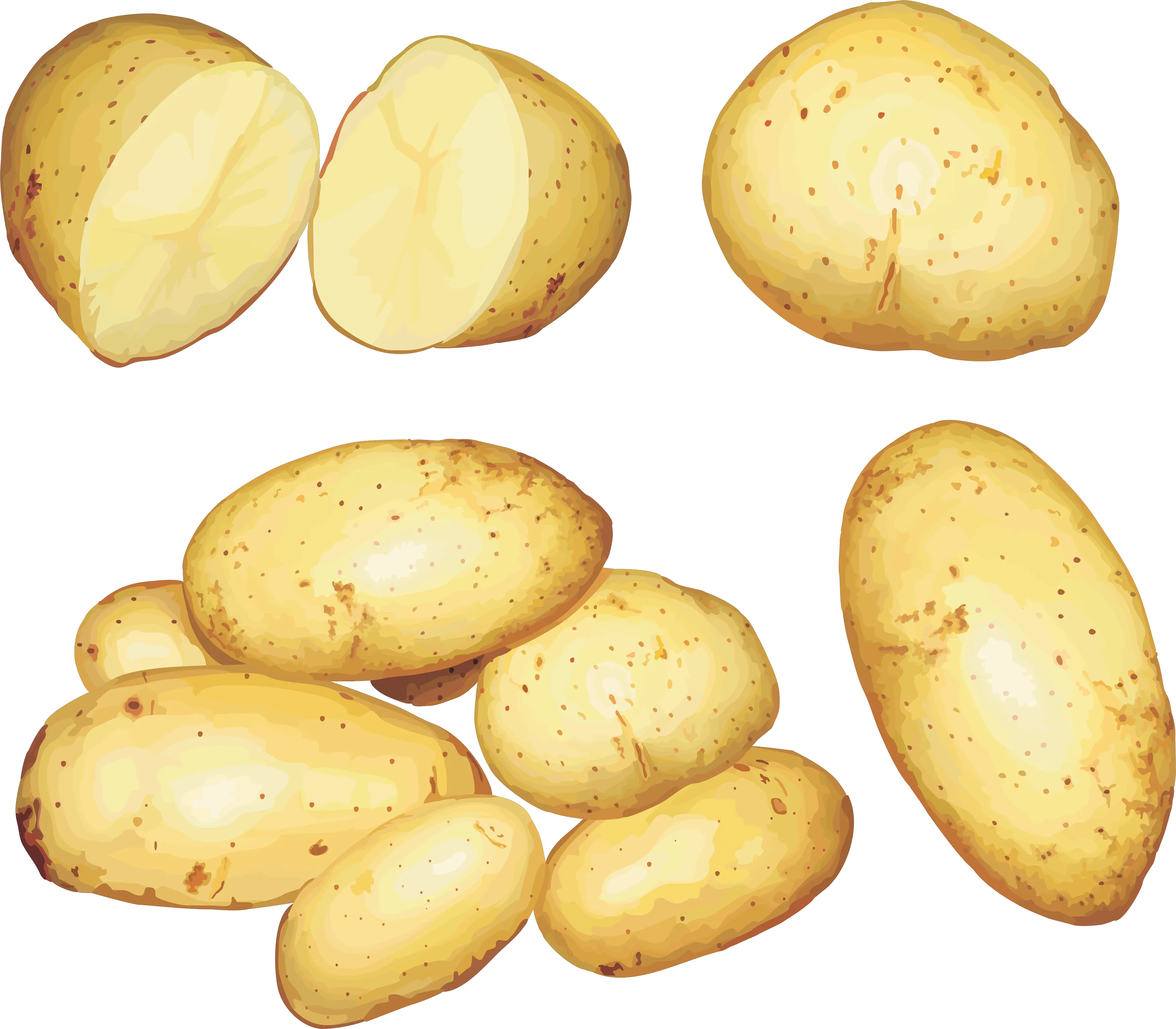 Potato png images