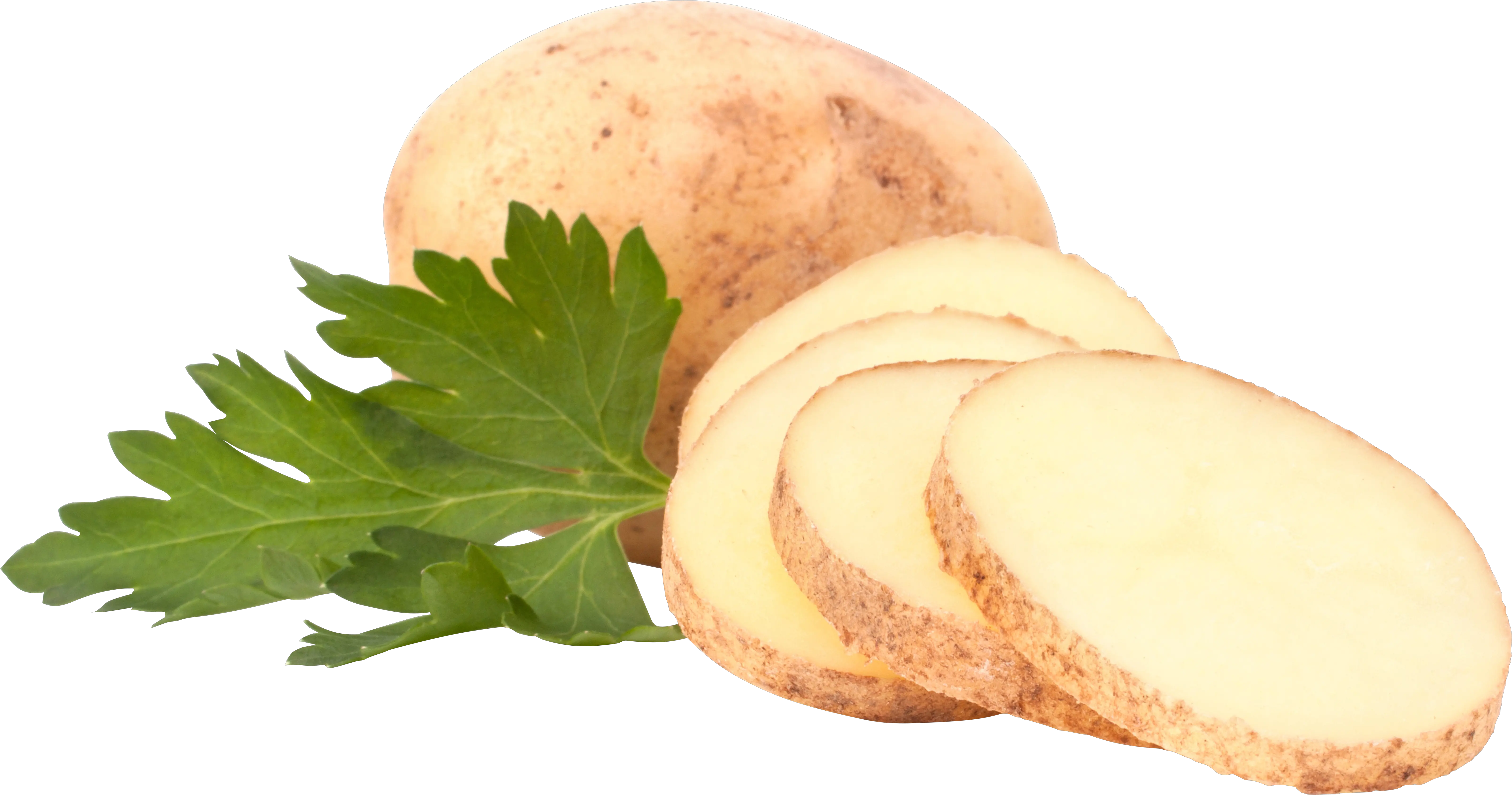 Sliced potato PNG
