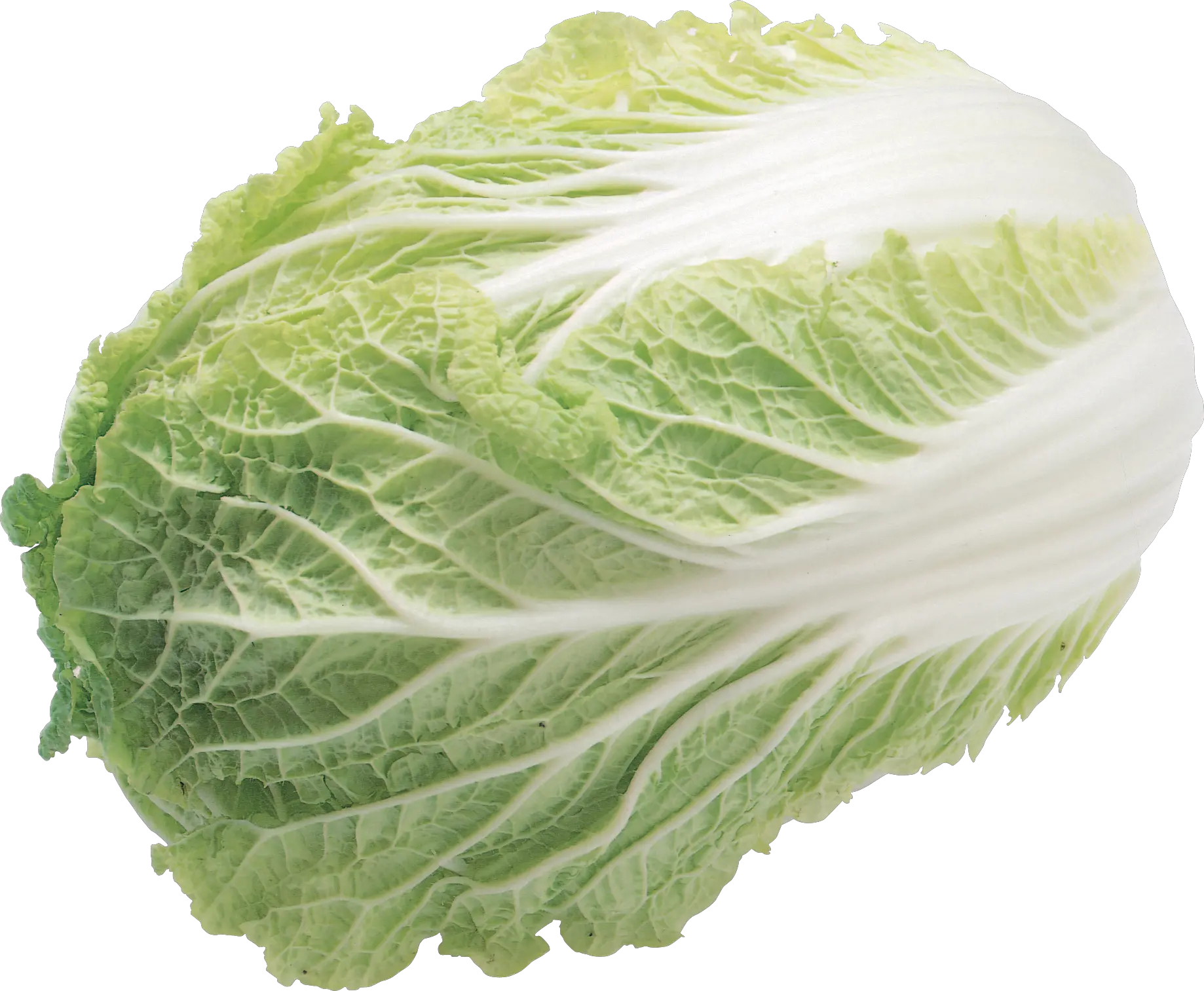 Salad PNG image