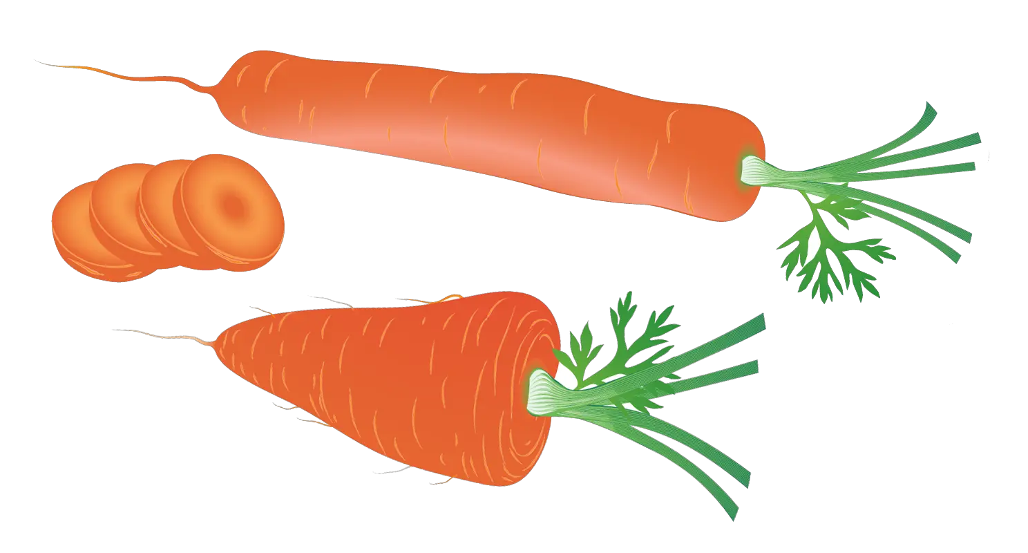 Carrot PNG