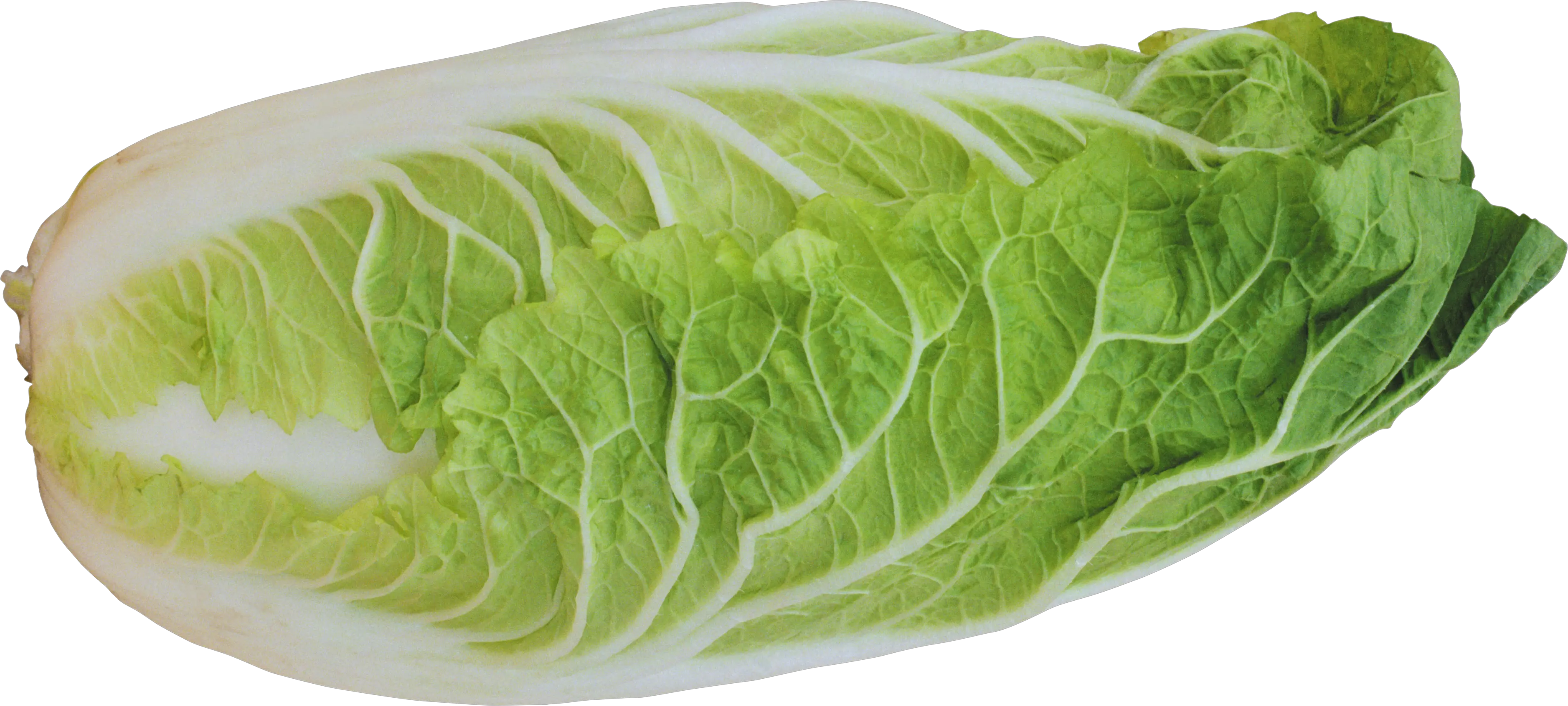 Salad PNG image