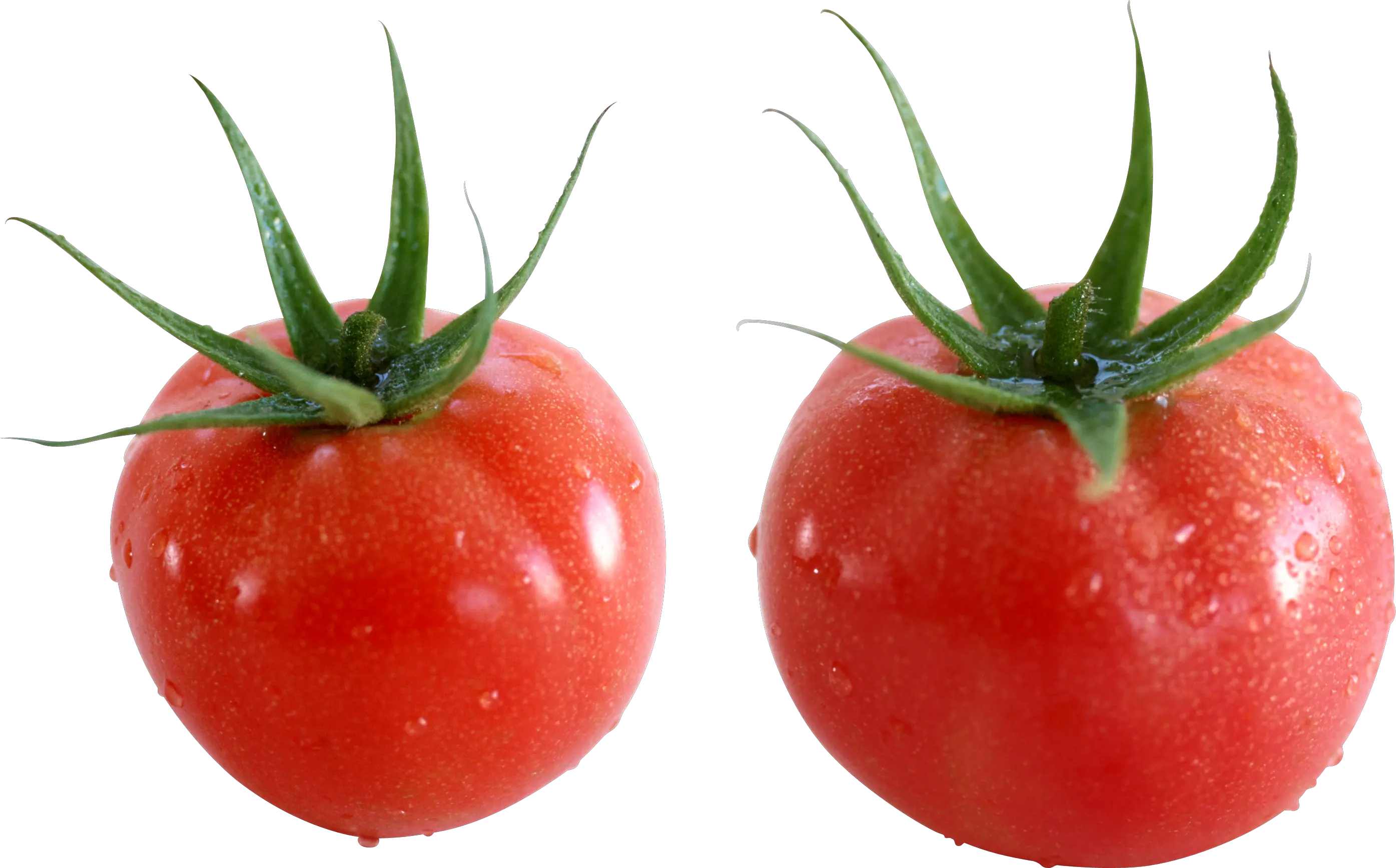 Tomato PNG