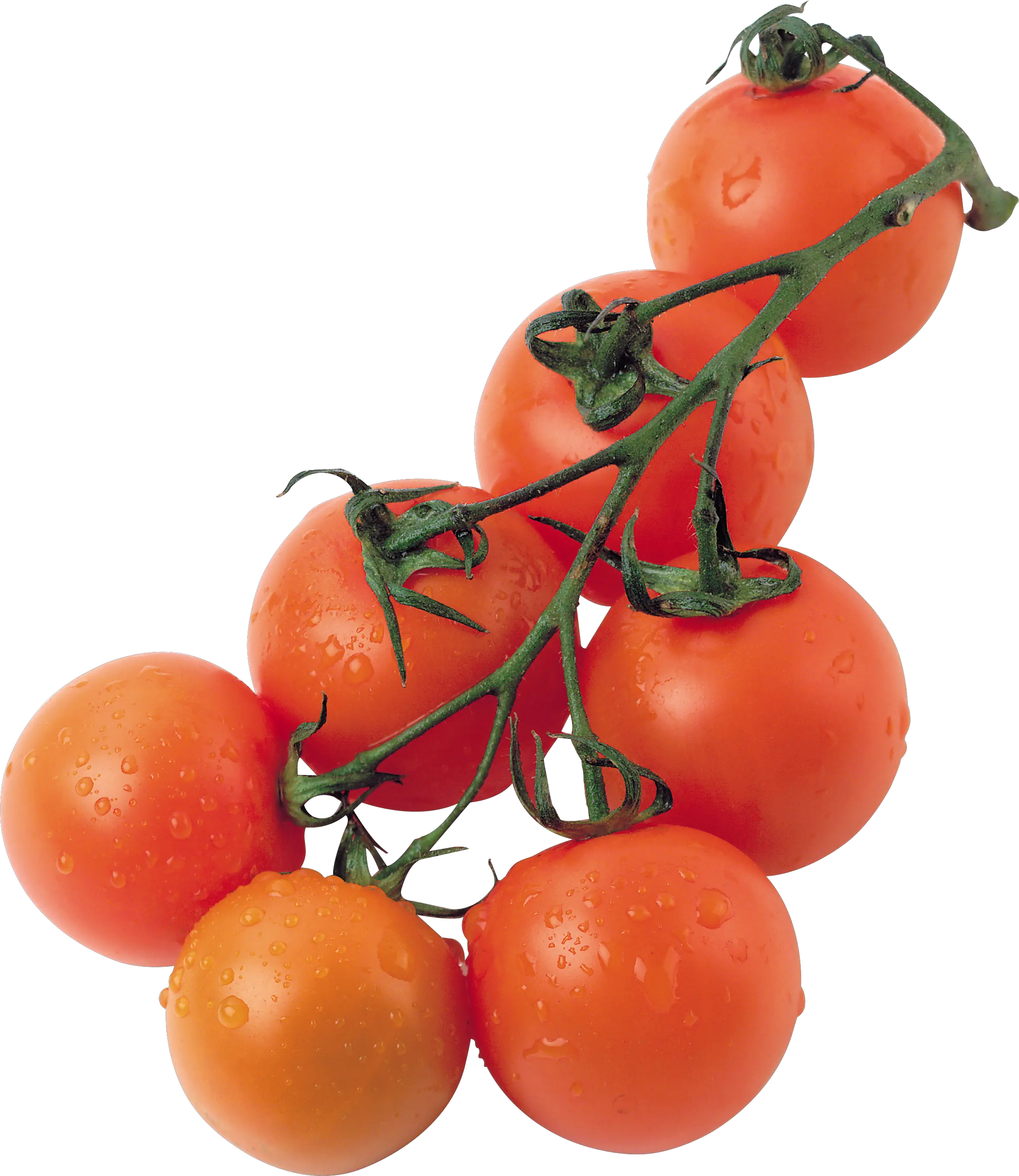 Cherry tomato PNG
