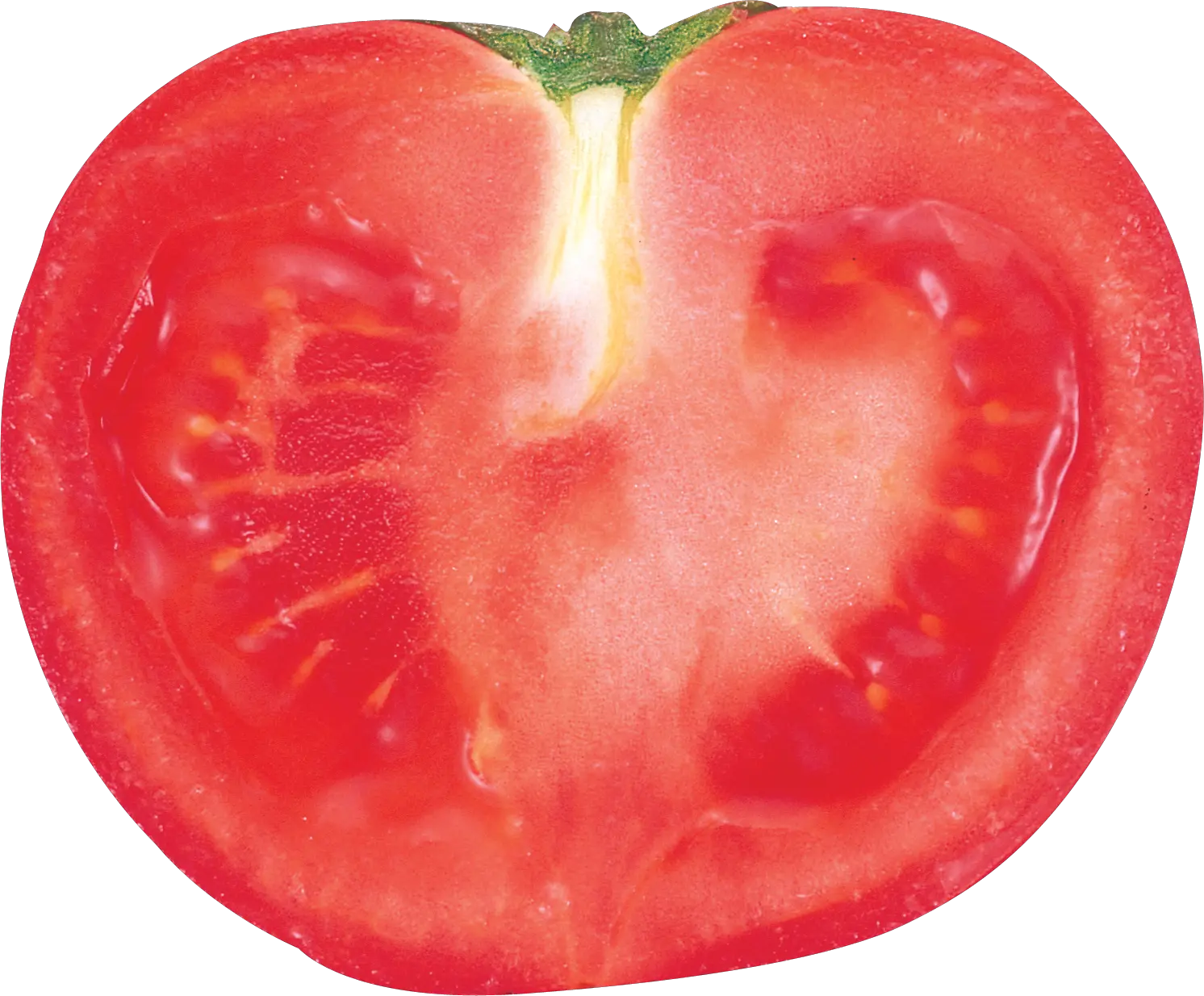 Cut tomato PNG