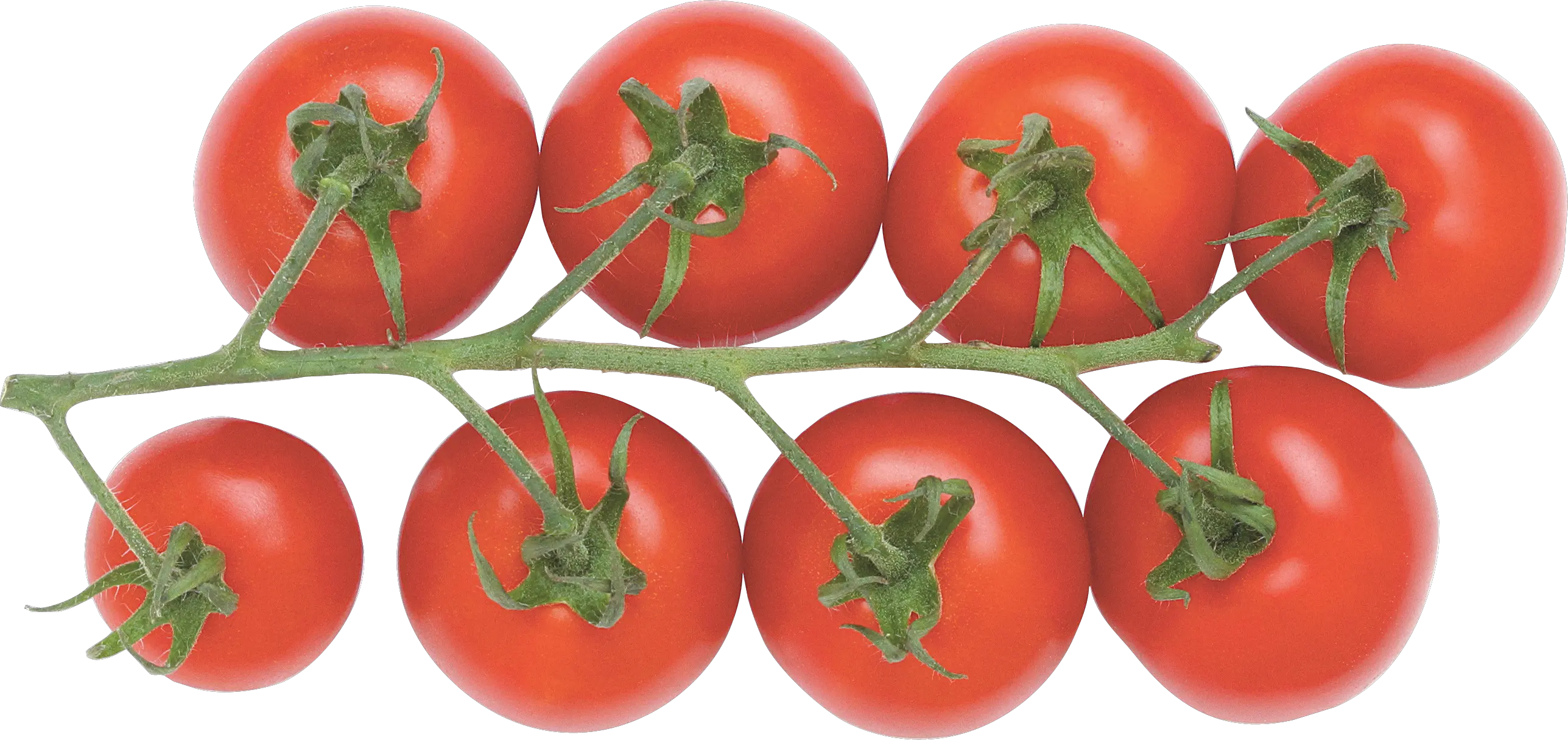 Tomatoes cherry PNG