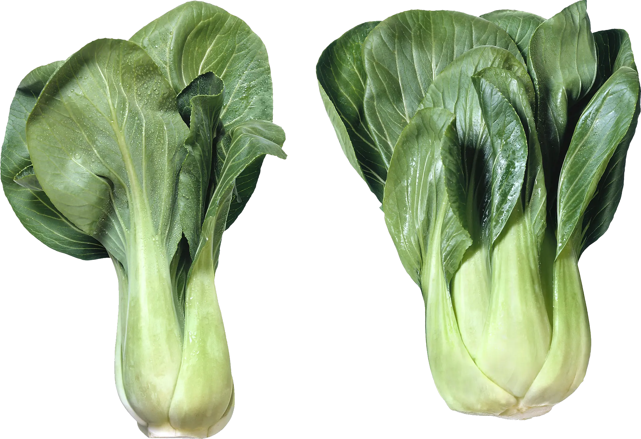 Salad PNG image