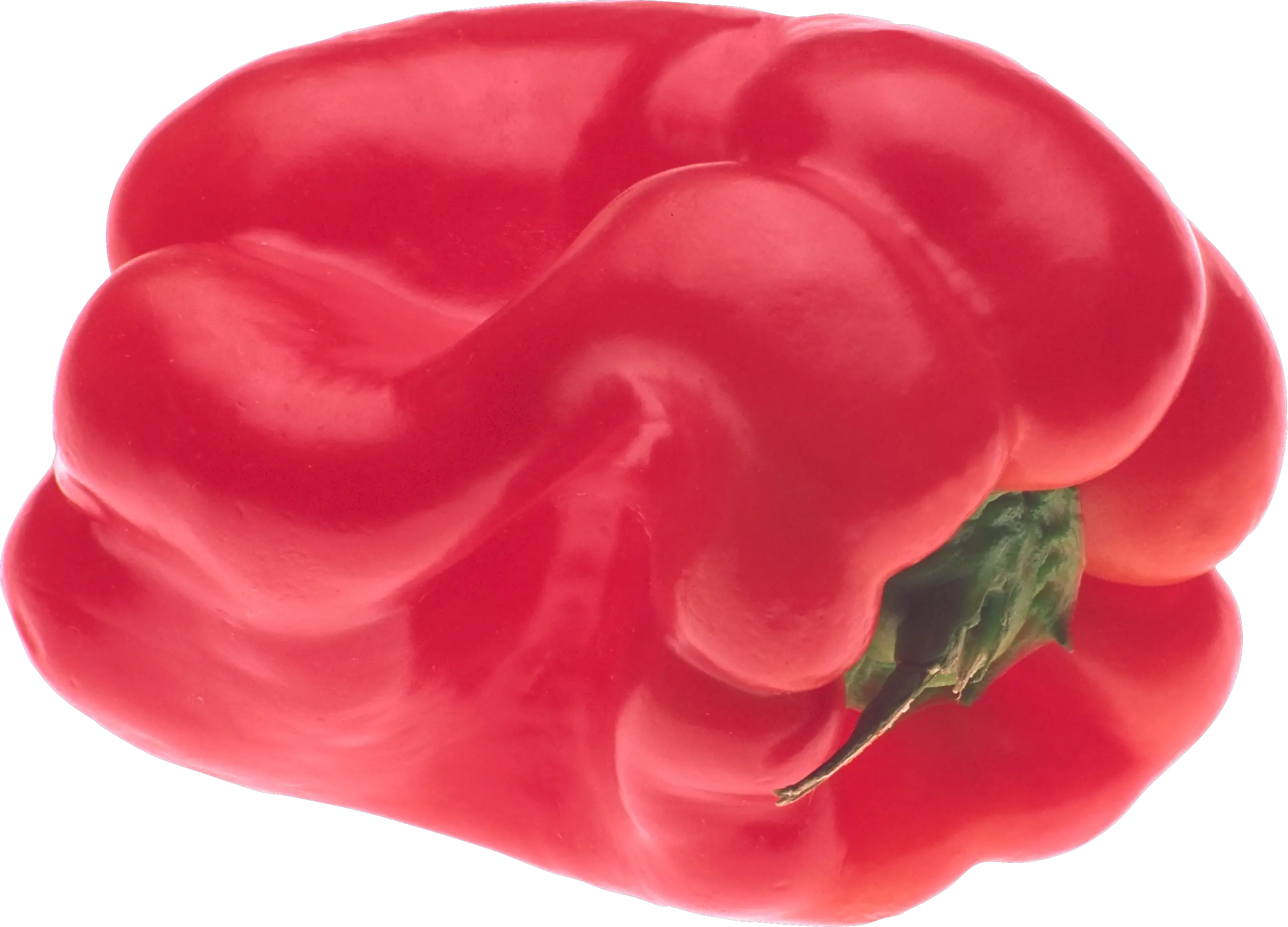 Red pepper PNG image