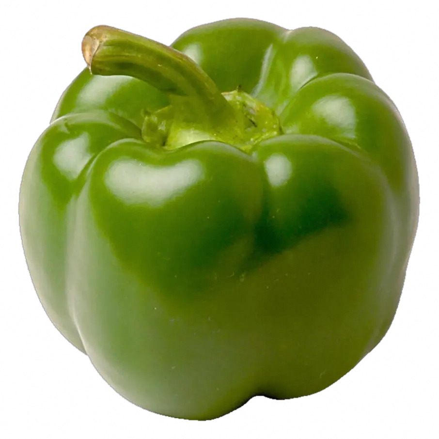 Green pepper PNG image