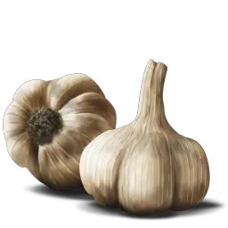 Garlic PNG