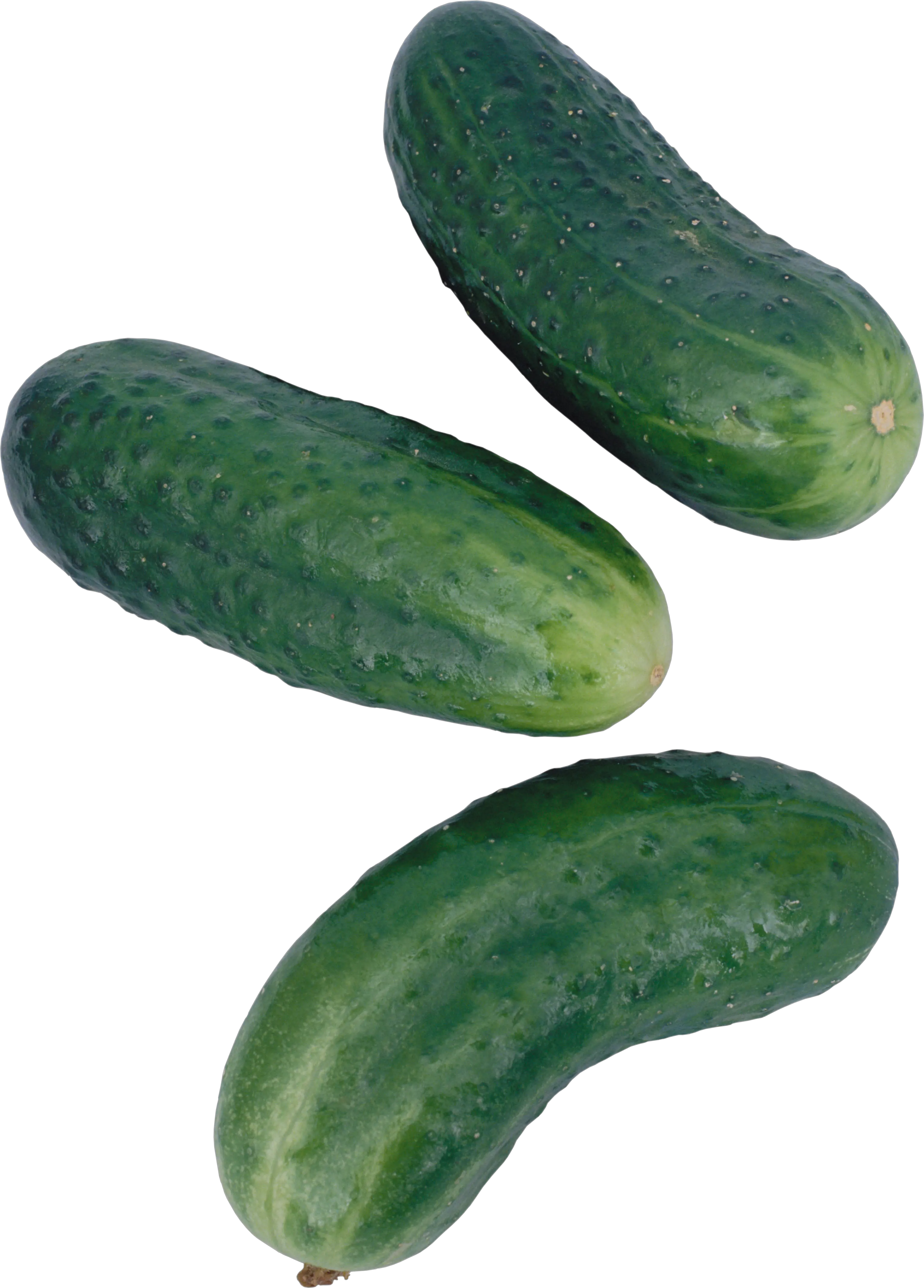 Cucumbers PNG transparent image
