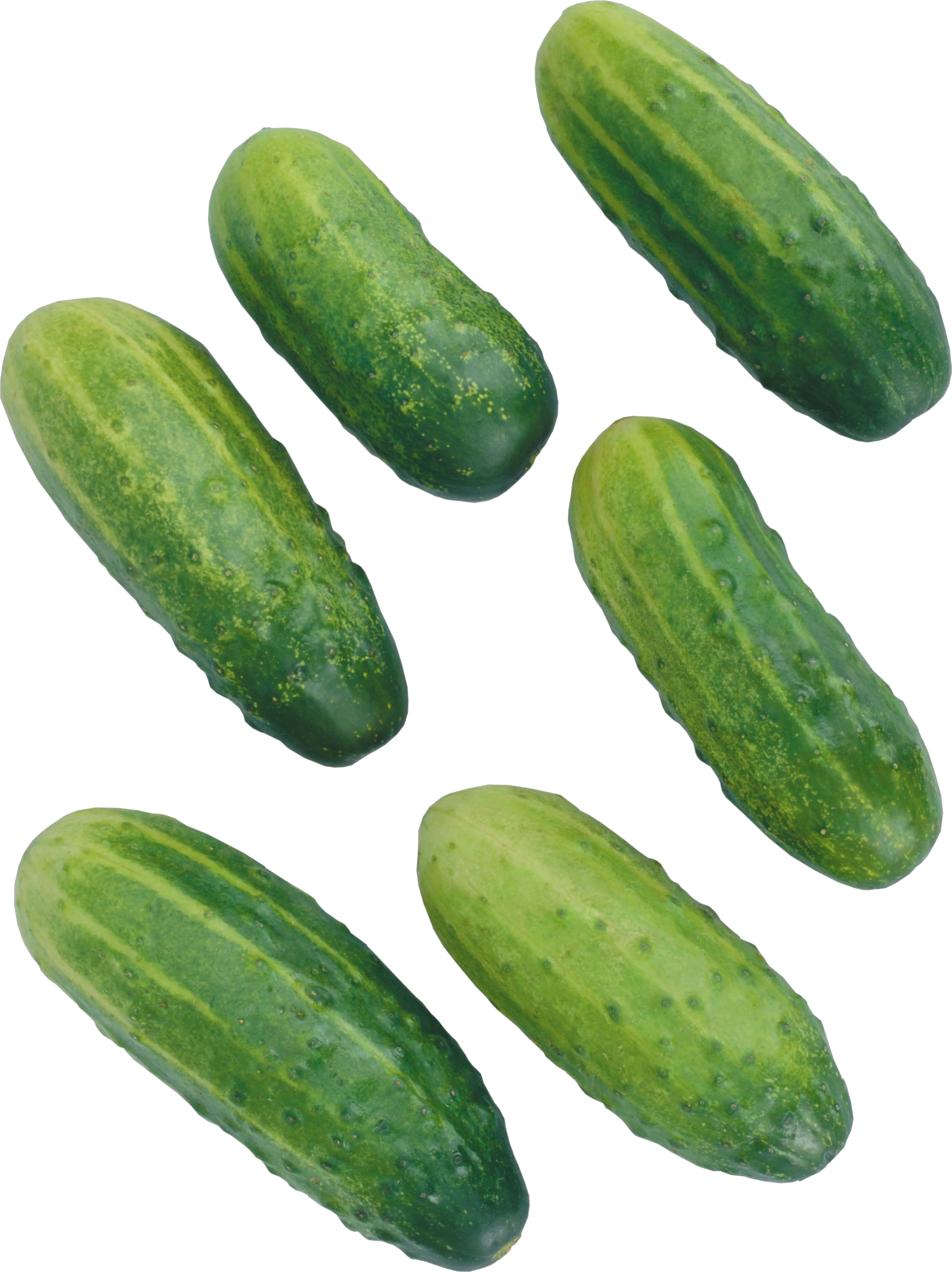 Cucumbers picture PNG